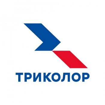 Бесплатный контент от Триколора Бесплатный контент от Триколора